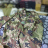 Soft Shell Jakna Woodland - Airsoft ( outdoor ) XXXL